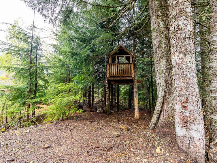 46870 Sakwi Creek Road, Mission, BC, V0M 1A1 - 34
