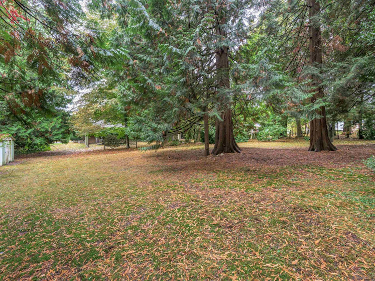 1842 176 Street, Surrey, BC, V3Z 9W3 - 24