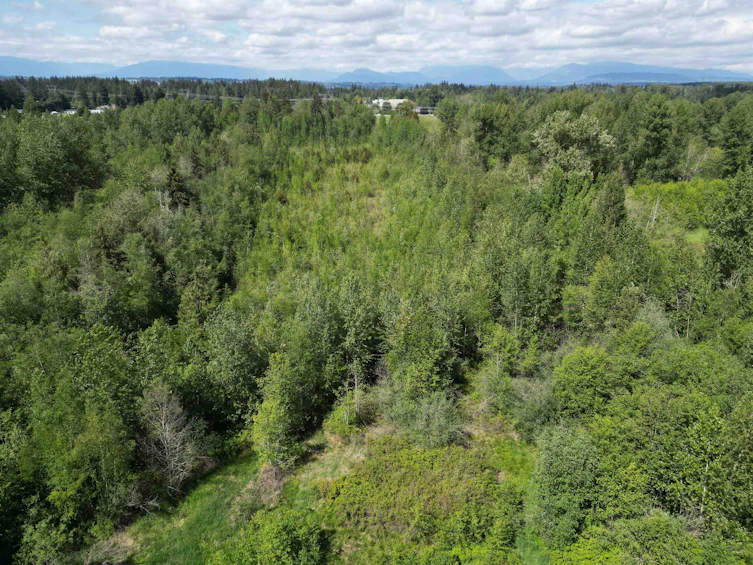 21181 36 Avenue, Langley, BC, V3A 8N6 - 13