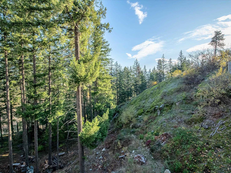 7458 Dogwood Street, Pemberton, BC, V0N 2L0 - 13