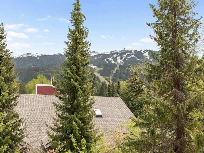 316 - 4314 Main Street, Whistler BC V0N 1B4