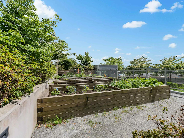 2406-258 Nelson's Court, New Westminster, BC, V3L 0J9 - 36