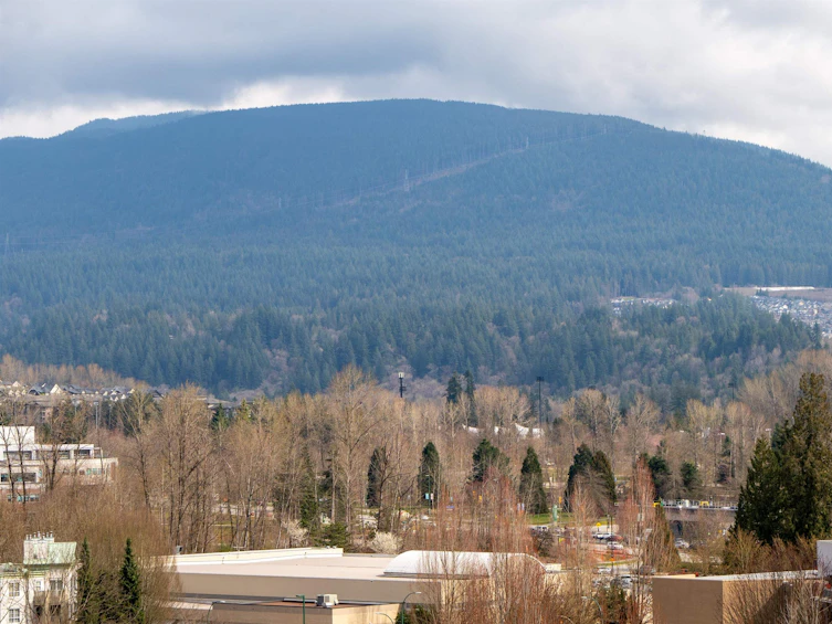 1403-2959 Glen Drive, Coquitlam, BC, V3B 0B8 - 25