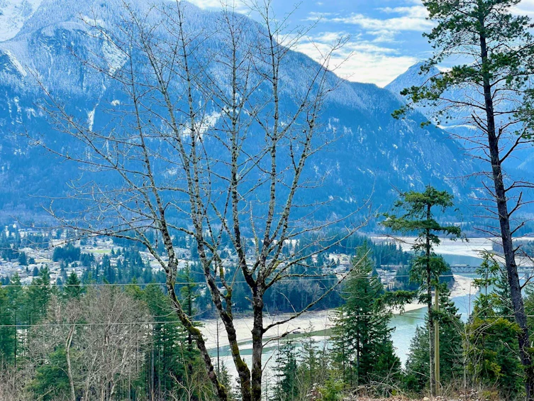 22185 Ross Road, Hope, BC, V0X 1L3 - 11