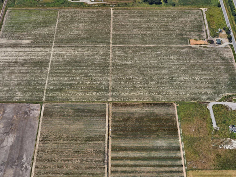 8442 Ladner Trunk Road, Delta, BC, V4K 3N3 - 26