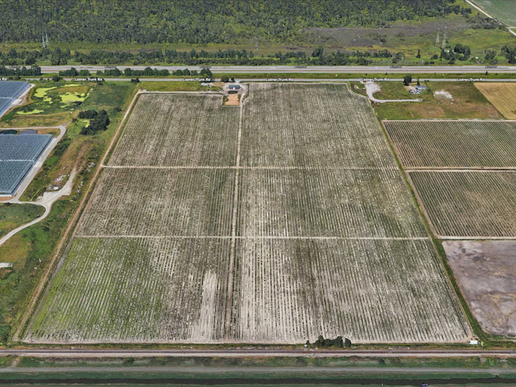 8442 Ladner Trunk Road, Delta, BC, V4K 3N3 - 29