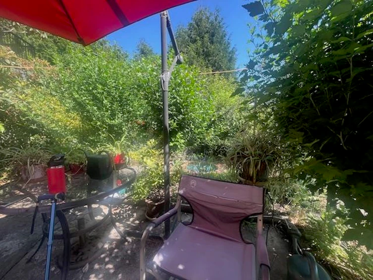 46267 Magnolia Avenue, Chilliwack, BC, V2P 3J1 - 23