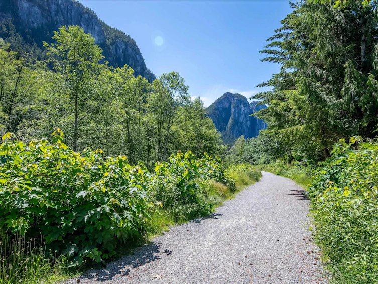 38590 Westway Avenue, Squamish, BC, V8B 0W4 - 15