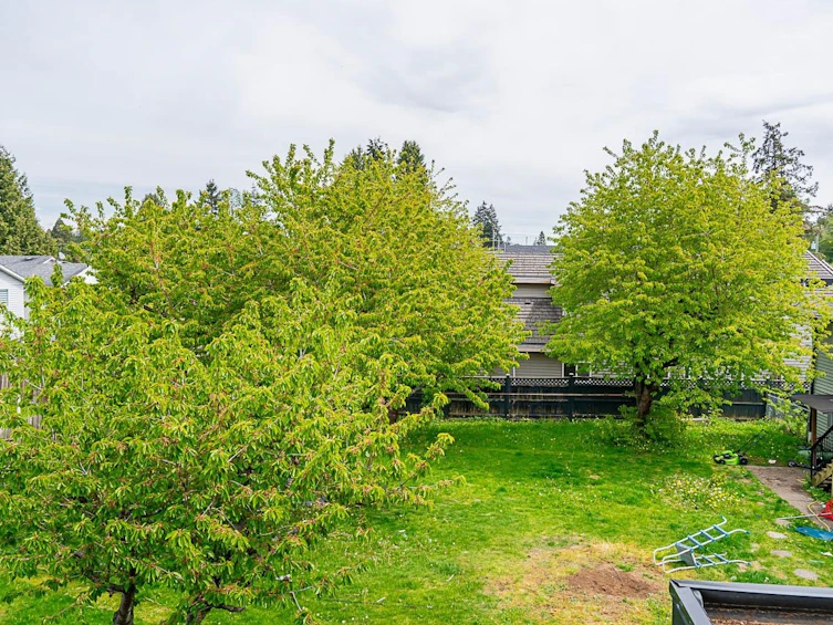 11863 92 Avenue, Delta, BC, V4C 3L5 - 15