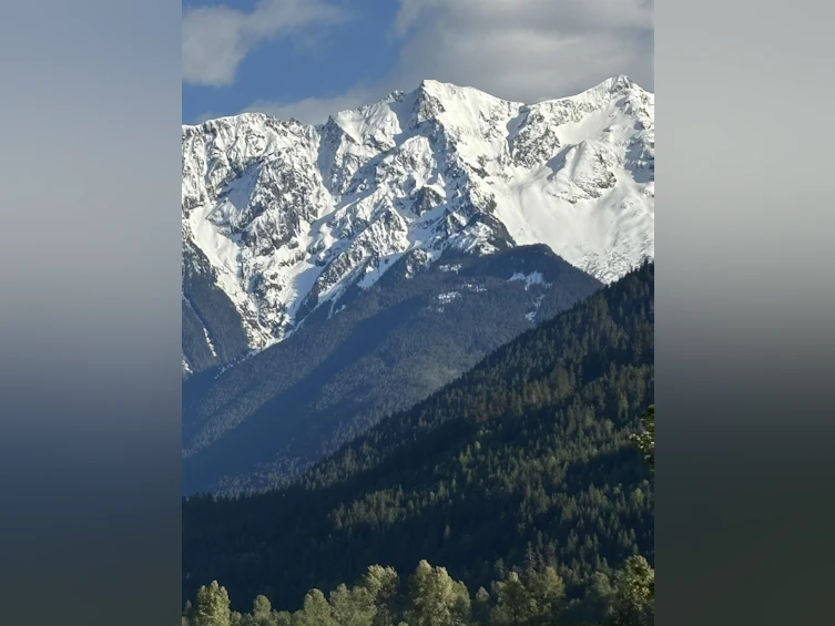 8687 Pemberton Meadows Road, Pemberton, BC, V0N 2L2 - 6