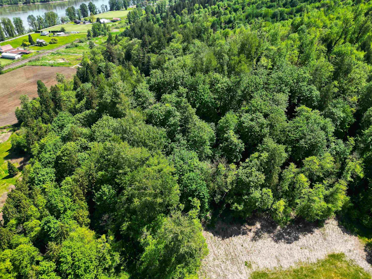 8410 Bradner Road, Abbotsford, BC - 12