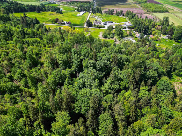 8410 Bradner Road, Abbotsford, BC - 14
