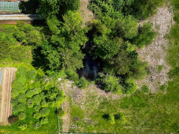 8410 Bradner Road, Abbotsford, BC - 18