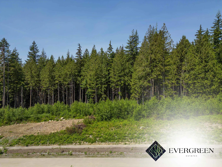 12675 271 Street, Maple Ridge, BC, V2W 1C2 - 3