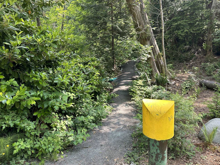 LOT 17 Riverside Drive, North Vancouver, BC, V7H 1V5 - 5
