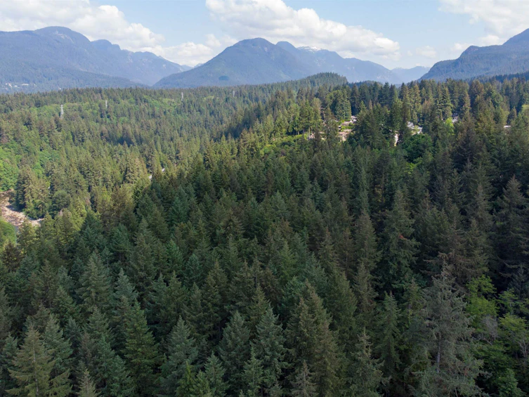 LOT 17 Riverside Drive, North Vancouver, BC, V7H 1V5 - 18