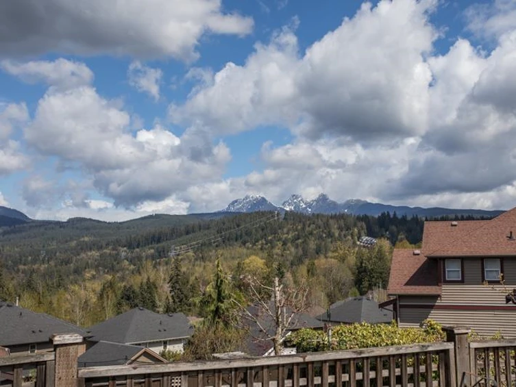 13632 228 Street, Maple Ridge, BC, V4R 0B5 - 21