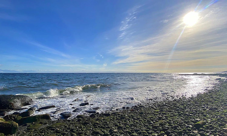 Lot 17 Dl 71 Bodega Beach Drive