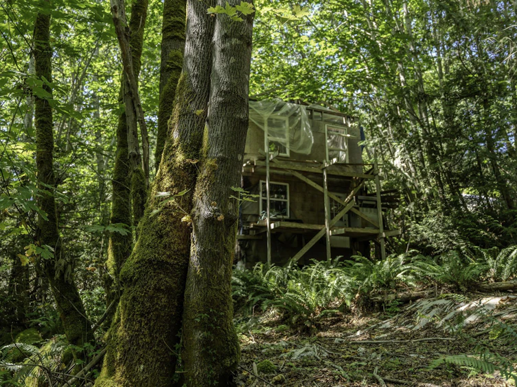 12882 Stone Road, Pender Harbour Egmont, BC, V0N 2H1 - 6