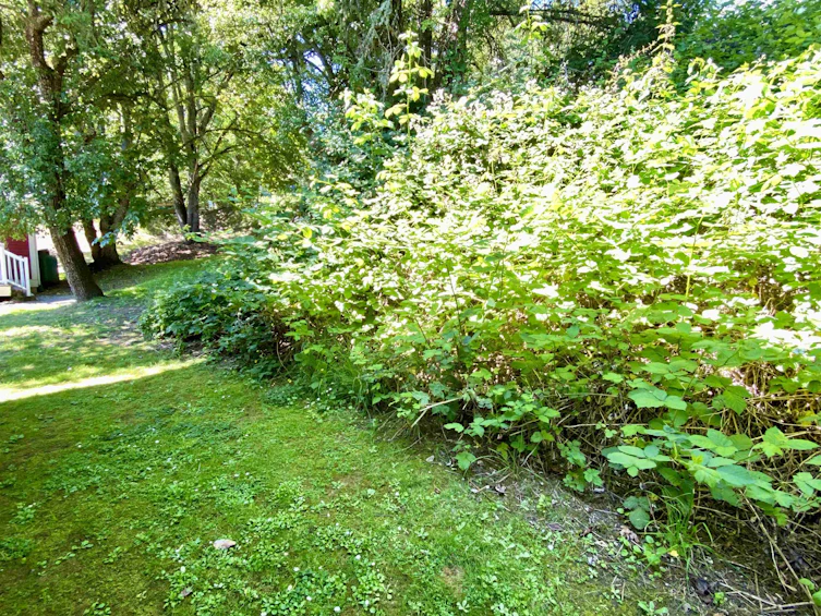 22A-2315 Mackinnon Road, Pender Island, BC, V0N 2M1 - 24