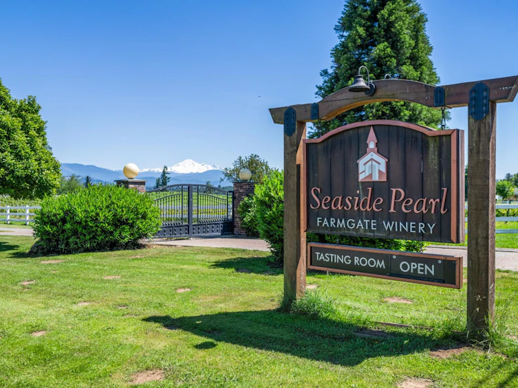 5290 Olund Road, Abbotsford, BC, V4X 1V6 - 4