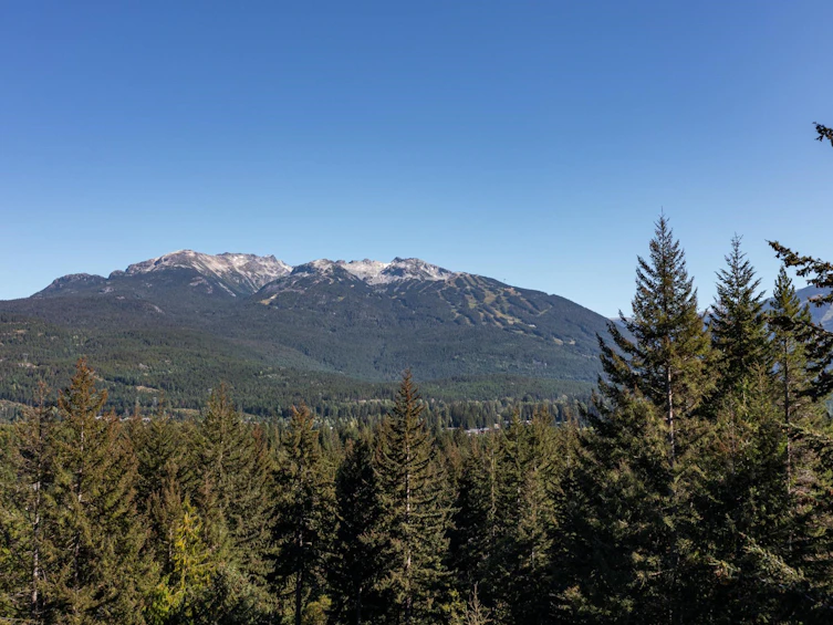 8325 Mountainview Drive, Whistler, BC, V8E 0G3 - 30