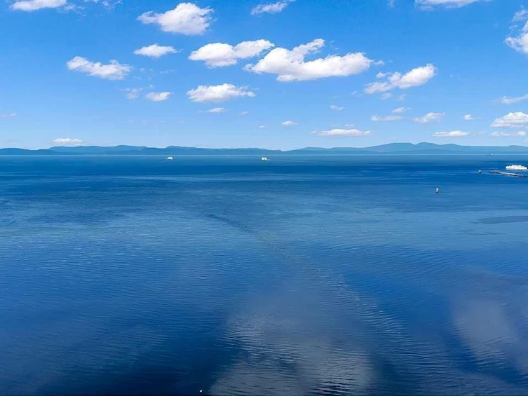 111 Graham Drive, Delta, BC, V4M 2J4 - 8