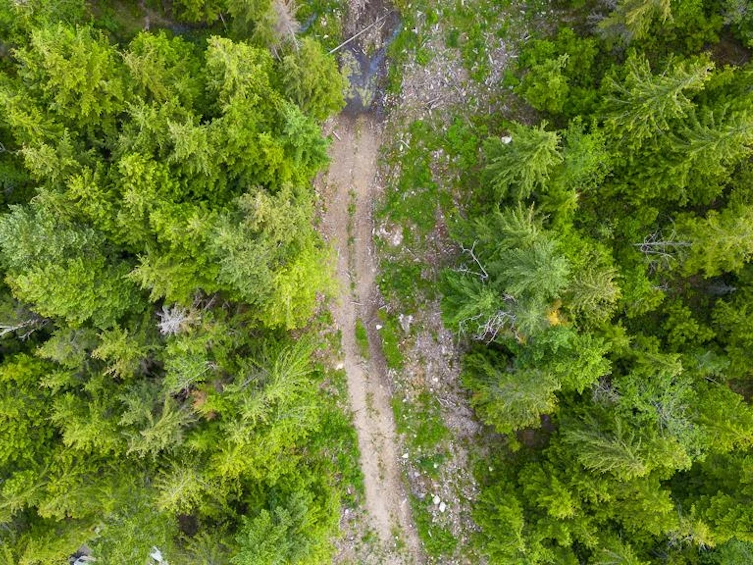 9384 Stephens Way, Halfmoon Bay, BC, V7Z 1G9 - 29