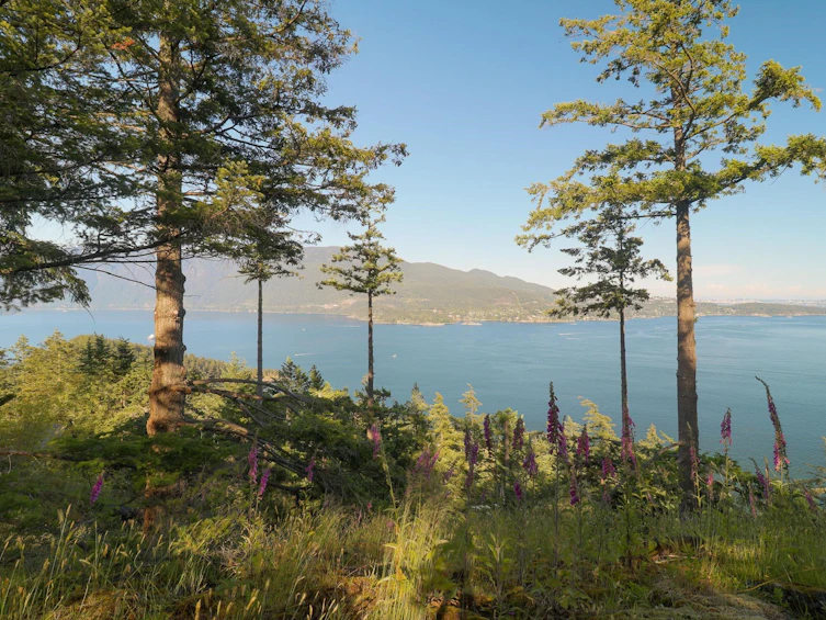 801 Valhalla Place, Bowen Island, BC, V0N 1G1 - 13