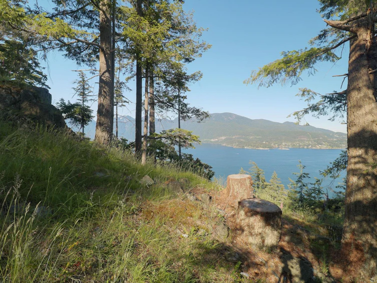 801 Valhalla Place, Bowen Island, BC, V0N 1G1 - 18