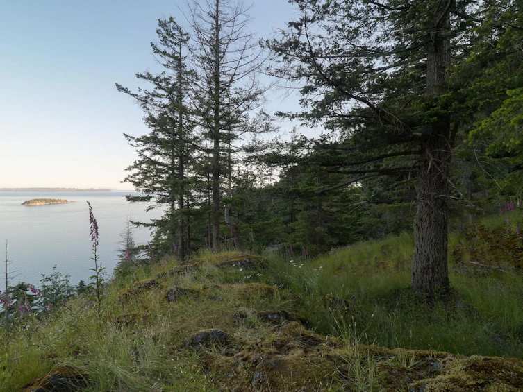 801 Valhalla Place, Bowen Island, BC, V0N 1G1 - 23