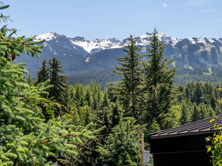 7325 Toni Sailer Lane, Whistler, BC, V8E 0E3 - 25