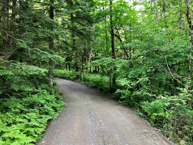 5051 Paradise Valley Road, Squamish, BC, V0N 1H0 - 4
