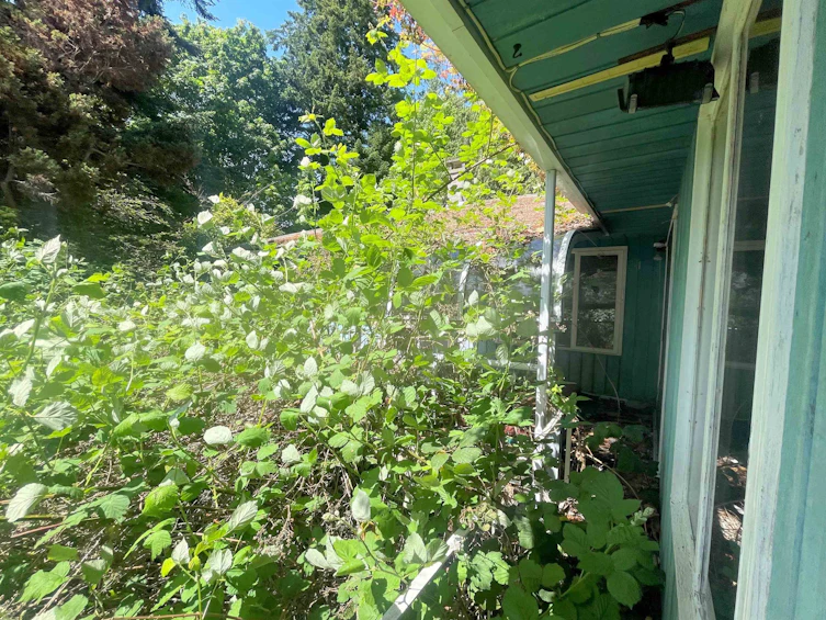 5288 Evans Road, Halfmoon Bay, BC, V7Z 1A4 - 4