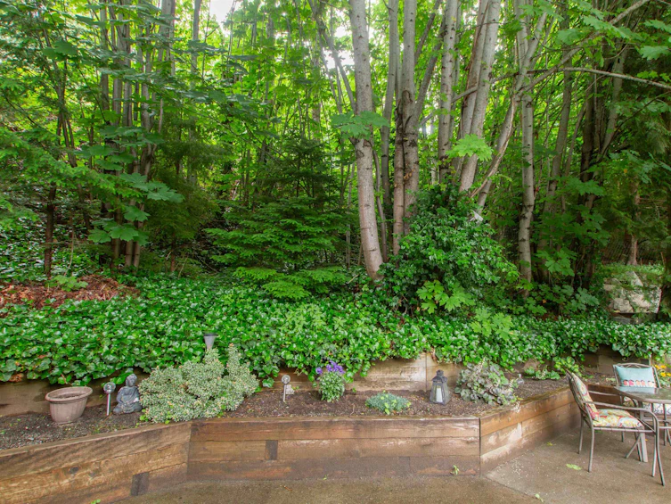 40-2401 Mamquam Road, Squamish, BC, V8B 0H6 - 5