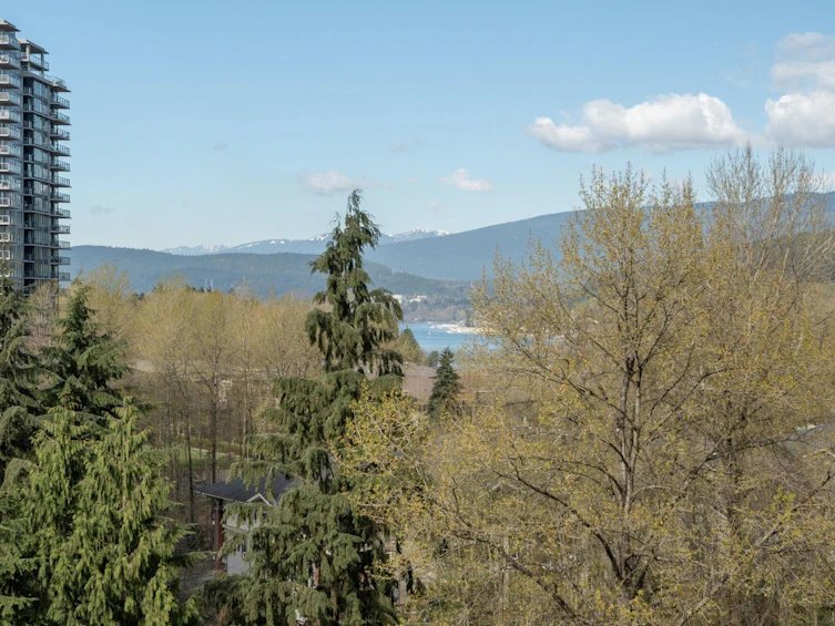 707-305 Morrissey Road, Port Moody, BC, V3H 0M3 - 33