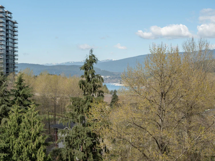 2004-305 Morrissey Road, Port Moody, BC, V3H 0M3 - 34