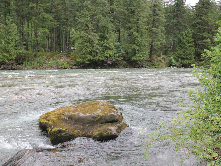 295 Forrest Crescent, Hope, BC, V0X 1L4 - 36