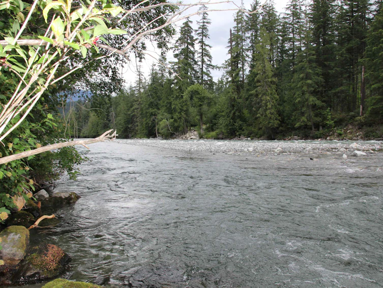 295 Forrest Crescent, Hope, BC, V0X 1L4 - 37