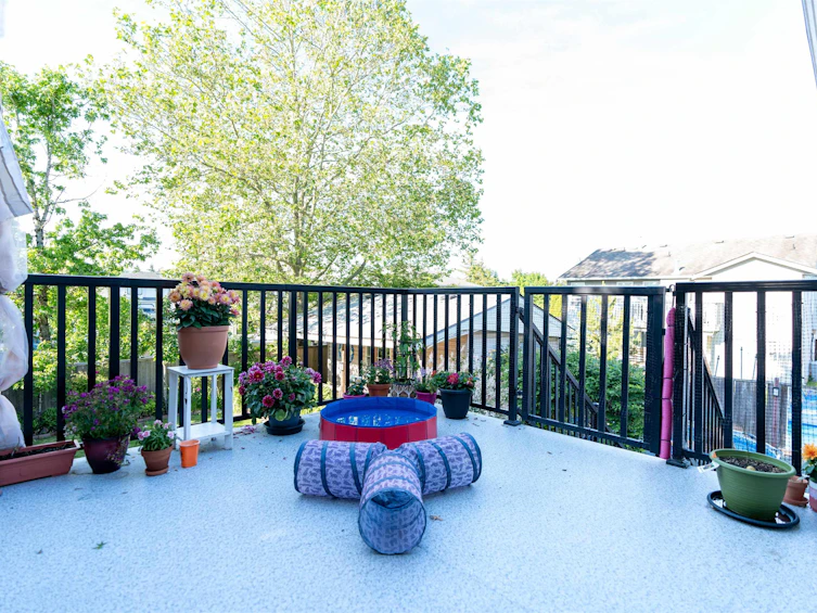 21523 50 Avenue, Langley, BC, V3A 8W1 - 22