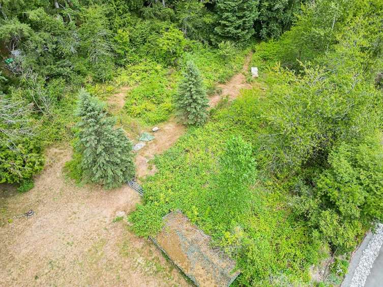 12724 232 Street, Maple Ridge, BC, V2X 6T8 - 22