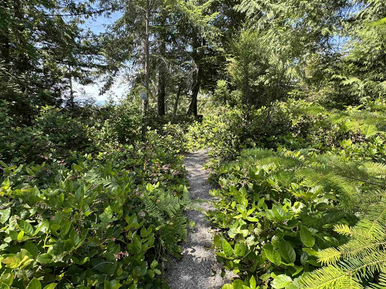 6016 Leaning Tree Road, Halfmoon Bay, BC, V7Z 1C2 - 29