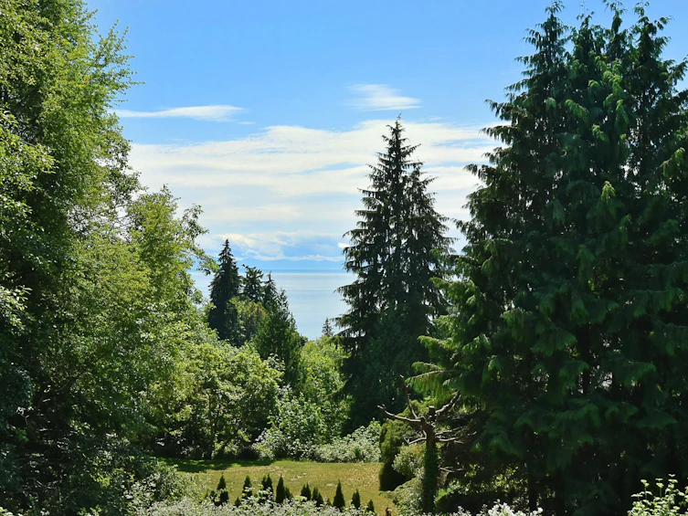 1793 Lower Road, Gibsons, BC, V0N 2W6 - 5