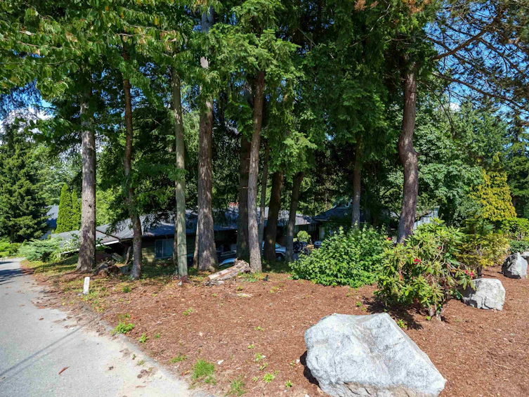 14373 115 Avenue, Surrey, BC, V3R 2P9 - 6
