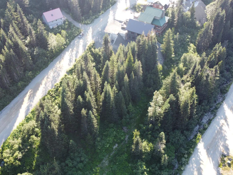 20708 Edelweiss Drive, Mission, BC, V0M 1A1 - 2