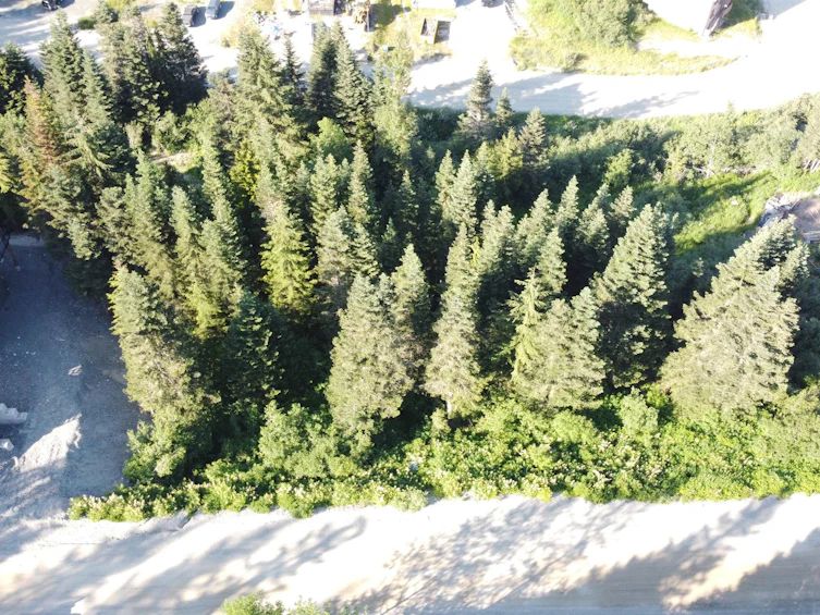 20708 Edelweiss Drive, Mission, BC, V0M 1A1 - 4