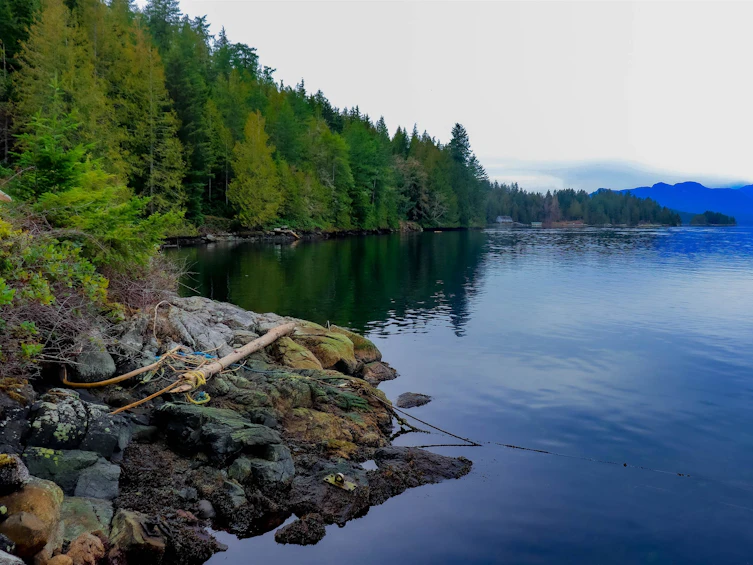 6999 Old School Trail, Pender Harbour Egmont, BC, V0N 1N0 - 29