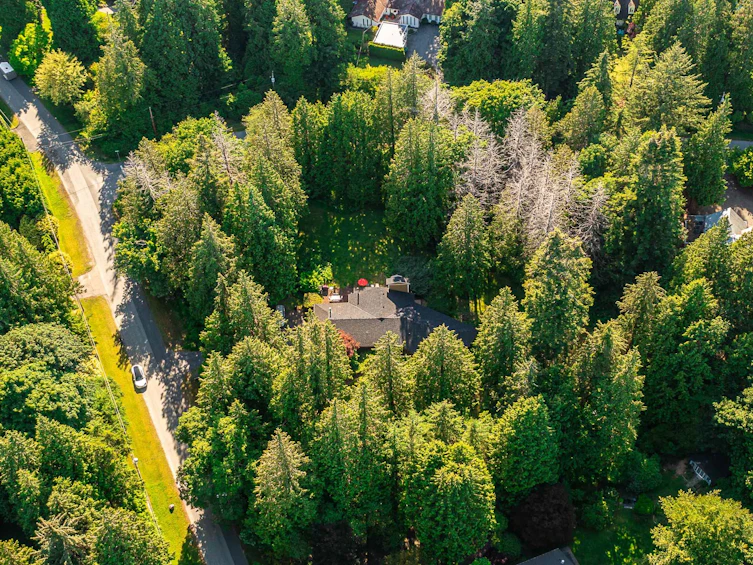 13425 Woodcrest Drive, Surrey, BC, V4P 1W3 - 2