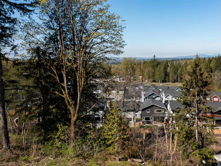 11222 251a Street, Maple Ridge, BC - 5