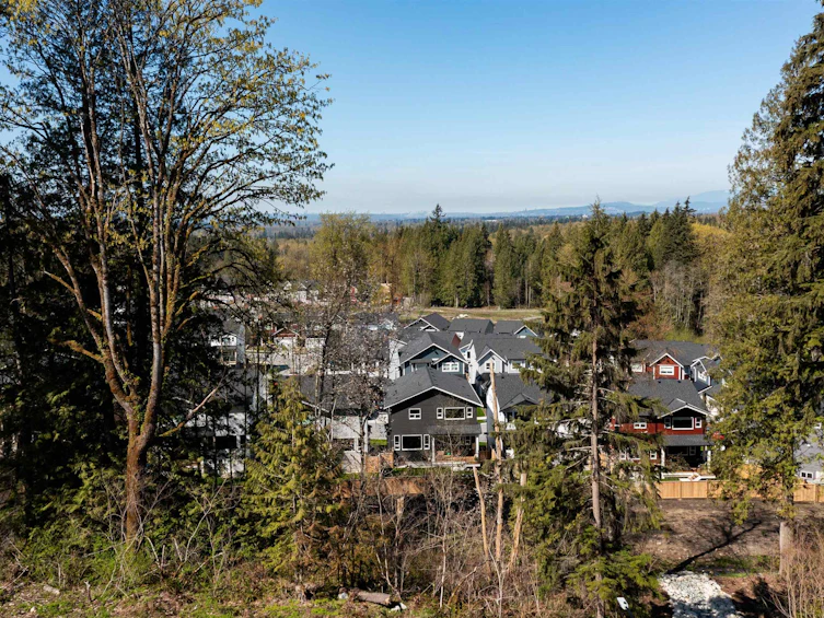 11228 251a Street, Maple Ridge, BC - 5